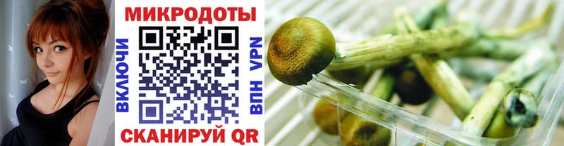 где найти   Строитель  Галлюциногенные грибы MAGIC MUSHROOMS 