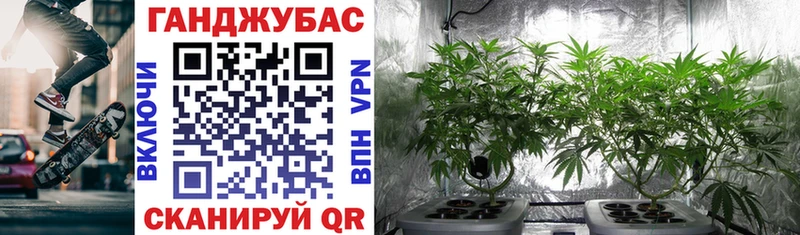 где найти   Строитель  kraken ONION  Канабис White Widow 